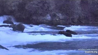 89_Backpack_at_the_falls_with_480_Otis,_856,_and_503_9_18_2019,_video_by_Lani_H.