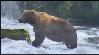 Bear_89_Backpack_2019,_video_by_Deanna_Dittloff
