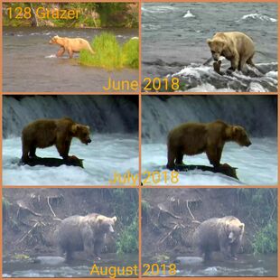 128 Grazer 2018 snapshot collage by Cruiser