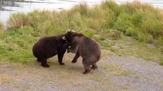 32_Chunk_and_89_Backpack_play_fight_September_7,_2014_(published_09_12_2014)_video_by_KNP&P