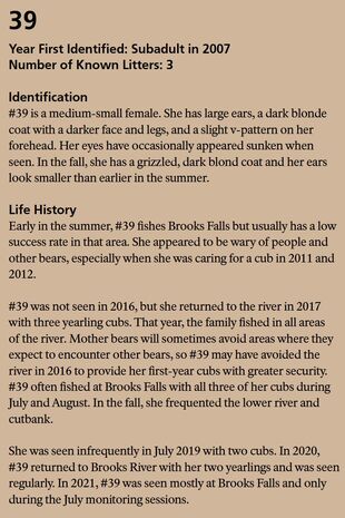 39's page in the 2022 Bears of Brooks River book page 36