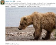 Ranger Dave's June 23, 2017 08:42 comment with June 22, 2017 NPS photo of 273 by Ranger David Kopshever
