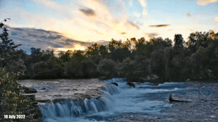 SUNRISE GIF 2022.07.10 w BEAR FAR POOL DANTEV2000 p 05.59