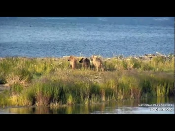 28_Jul_2020-_Sisters