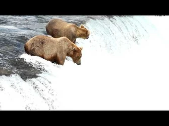 Brooks_Falls_July_2012