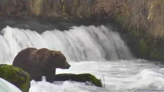 10.02.2016_-_856_Late_Night_at_the_Falls,_video_by_Brenda_D