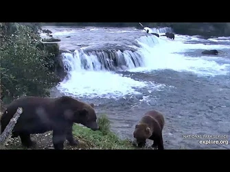 1_Sep_2020-_812_Welcomes_182