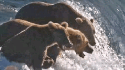 2022.07.24 GIF RECAP CRUISER p 2022.07.25 07.07