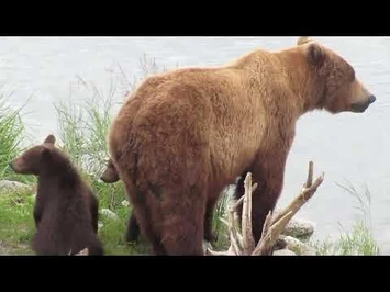 402_with_spring_cubs_7-21-2022