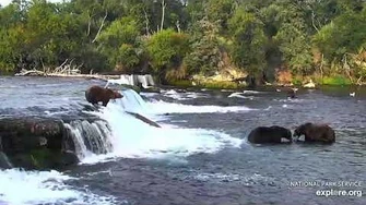 5_Sep_2019_856_Disrupts_747's_Nap_by_mckate-0