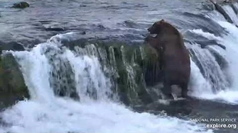 747_tries_to_climb_falls_after_???_7_31_2019video_by_Lani_H