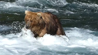 89_Backpack_at_the_falls_-_Jun_29,_2021