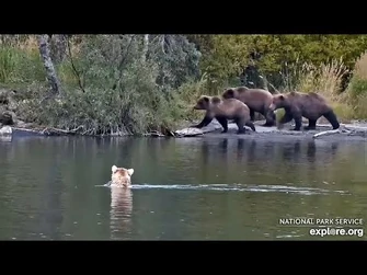 28_Sep_2023-_132s_Pass_By_(explore.org)