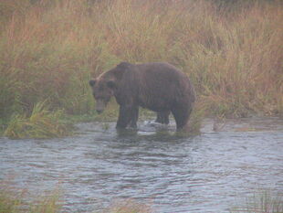 879 September 29, 2007 NPS photo