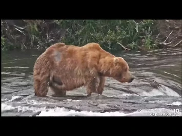 Handsome_backpack_Explore.org_BF_7-14-22
