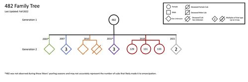 Family-tree-rq-482