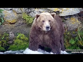 27_Aug_2023-_903_Tries_820's_Spot_(explore.org)