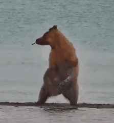 910 July 4, 2024 gif created by malmo (p 16:11)
