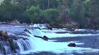 26_Jul_2019_Midnight_Fishing,_video_by_mckate