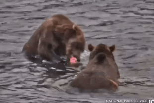 27 and 912 August 3, 2022 gif by LunaCre