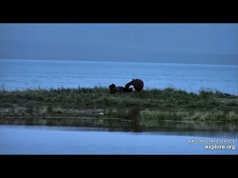 29_Jul_2020-_151_Plays_with_83