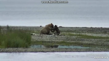 435_Holly_Plays_with_Her_coy_on_the_Gravel_Bar_2020-07-12