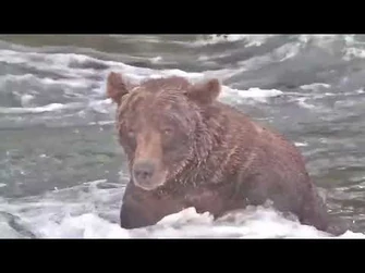 503_in_his_fishing_hole_Explore.org_09.13.21