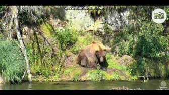 83_falling_asleep!_it_is_kinda_cute_June_29,_2016_by_Ratna