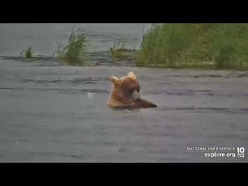 Holly_07-17-22_explore.org