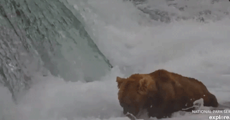 OTIS 480 GIF 2023.07.26 NATURES FOLIO FISHING REPORT 02 SUSPECTCELERY