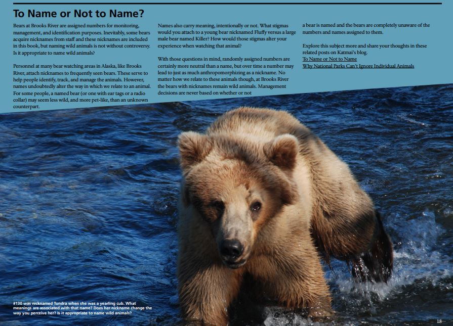 Brown Bears of Brooks River: How They Got Their Nickname | Katmai Bearcams  Wiki | Fandom