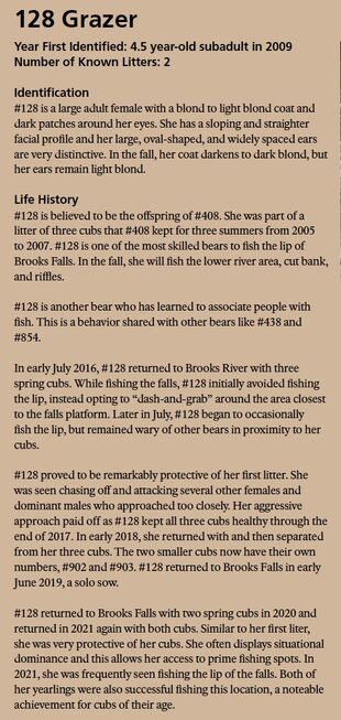 128 Grazer's page in the 2022 Bears of Brooks River book page 38