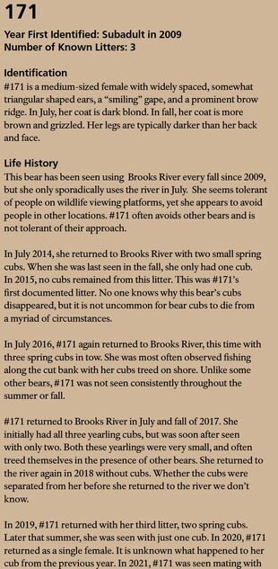 171's page in the 2022 Bears of Brooks River book page 40