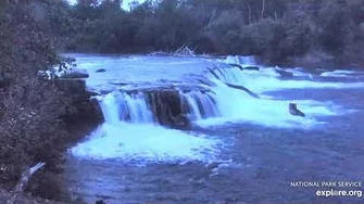 89_Backpack_enters_the_jacuzzi_7_30_2019,_video_by_Lani_H