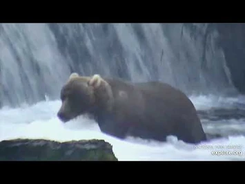 89_Backpack_on_09_01_2020