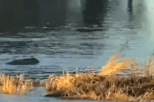 27 September 24, 2021 gif by LunaCre