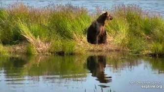 30_Jul_2019_132_Snoozes_on_Lower_River,_video_by_mckate