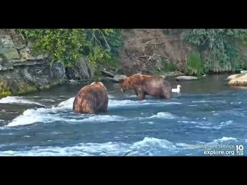 Some_interactions_between_856_and_399_-_Explore.org_June_29,_2022