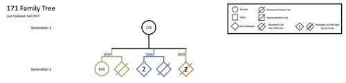 Family-tree-rq-171