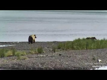 435_Holly_and_yearling_on_the_spit_06.14.21