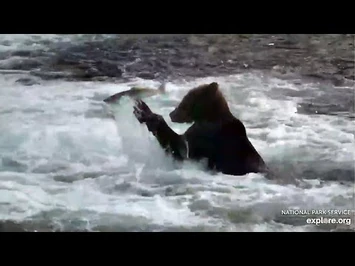 10_Jul_2020-_912_Plays_with_Fish_in_J