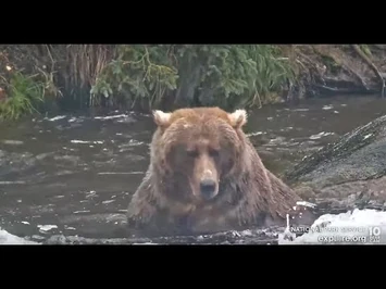 89_-_Explore.org_October_1,_2022-2