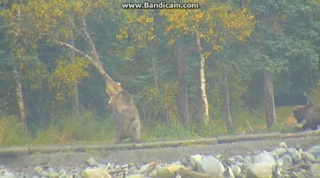 435_Holly_Has_an_Itch_2018-09-22