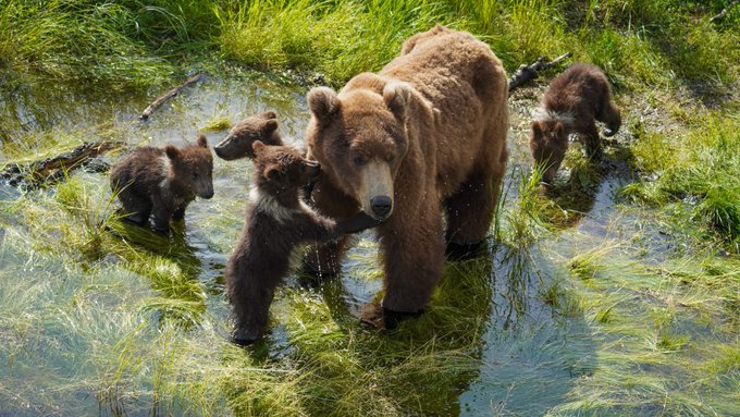 94 NPS PHOTO & INFO 2022.07.17 12.01 KNP&P TWEET PIC ONLY