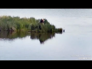 16_Jun_2020-_94's_Small_Female_Walks_Tall?