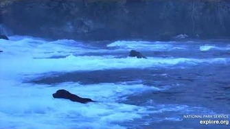 89_Backpack_visits_the_falls_10_3_2019,_video_by_Lani_H