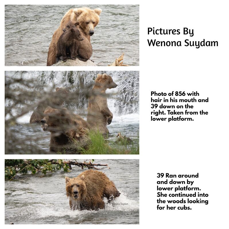 39 INFO 2022.07.10 WENONA SUYDAM PARK VISITOR PICS FROM 2022.07.08 via EAGLESPIRIT p 13.54