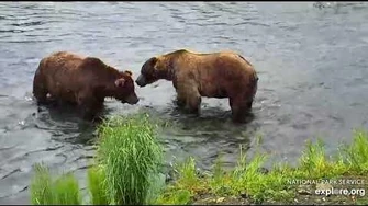 747_and_83_Wayne_Brother_have_a_little_discussion_7_8_2018_by_Lani_H