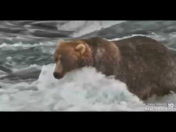 89_-_Explore.org_September_6,_2022-2