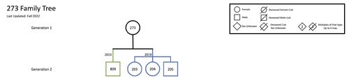 Family-tree-rq-273